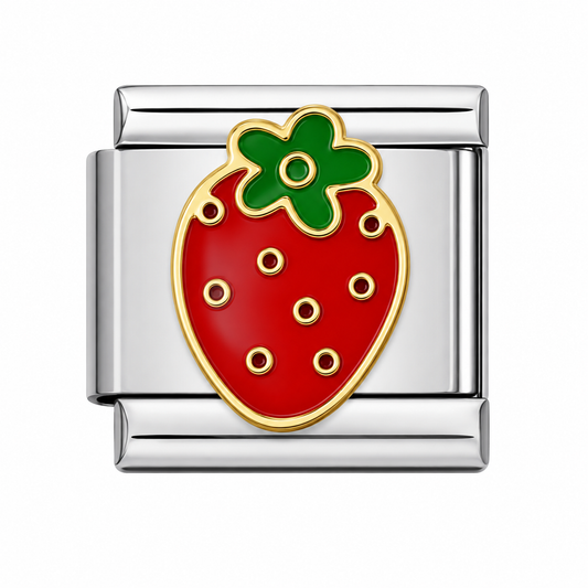 CHARM ACERO INOXIDABLE FESA EN PLATEADO